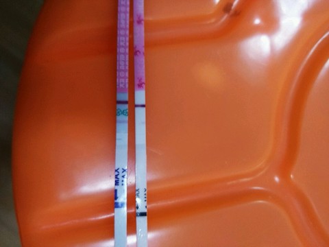 journal_insert_pic_474358116