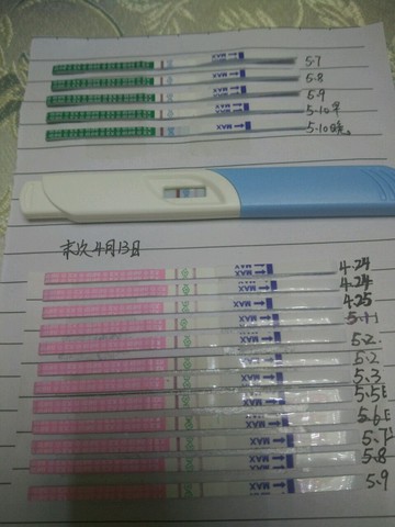journal_insert_pic_475027777