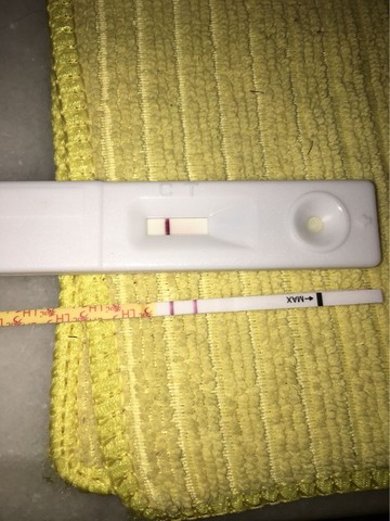 journal_insert_pic_474568526