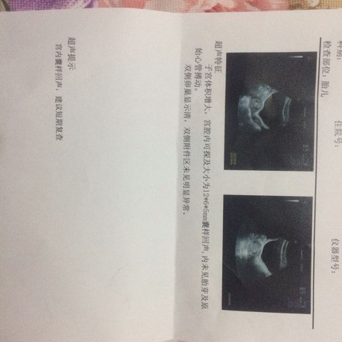 journal_insert_pic_475848502
