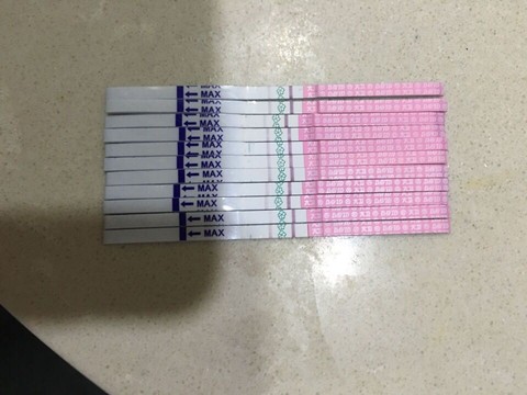 journal_insert_pic_475972579