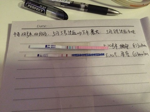 journal_insert_pic_475361024