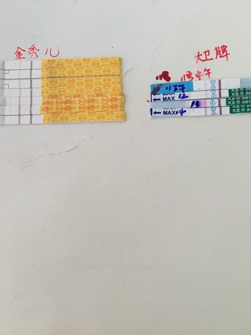 journal_insert_pic_478127971