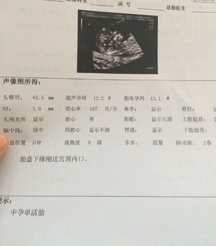 journal_insert_pic_480326451