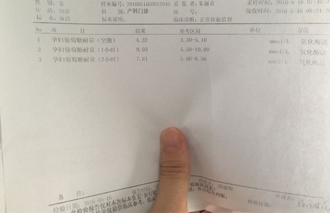 journal_insert_pic_481234422