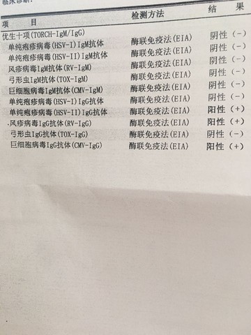 journal_insert_pic_480890027