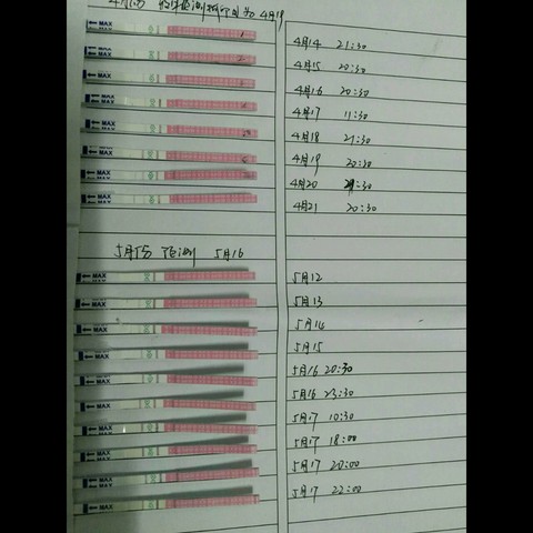journal_insert_pic_481426238