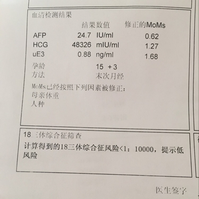 journal_insert_pic_481991997