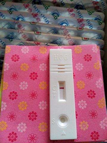 journal_insert_pic_482529085