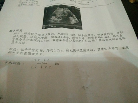 journal_insert_pic_482387221