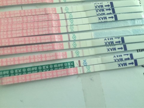 journal_insert_pic_482501018