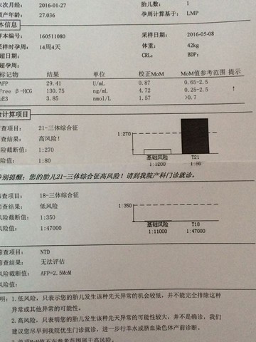 journal_insert_pic_484855540