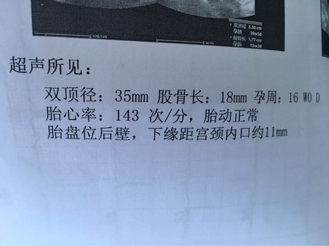 journal_insert_pic_486546408
