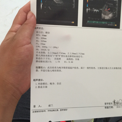 journal_insert_pic_487642963