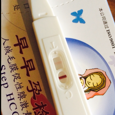 journal_insert_pic_487266877
