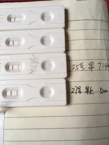 journal_insert_pic_490737662