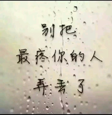 journal_insert_pic_491534044