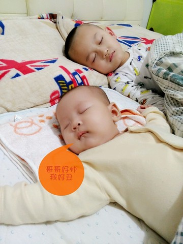 journal_insert_pic_492674001
