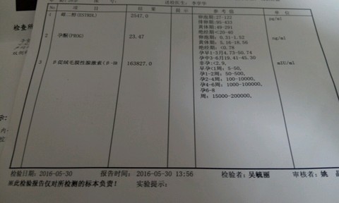 journal_insert_pic_493300500