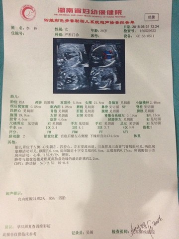 journal_insert_pic_494326005