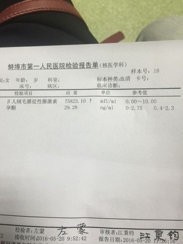 journal_insert_pic_494062452
