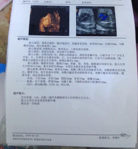 journal_insert_pic_493813953