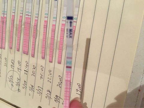 journal_insert_pic_494338869