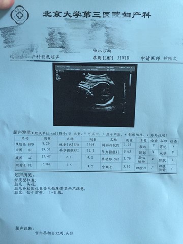 journal_insert_pic_494807435