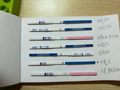 journal_insert_pic_495123231