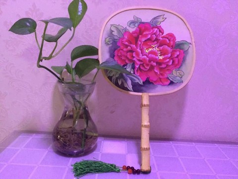 journal_insert_pic_494866193