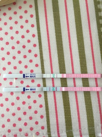 journal_insert_pic_495133255