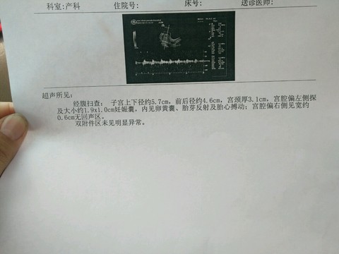 journal_insert_pic_495239112