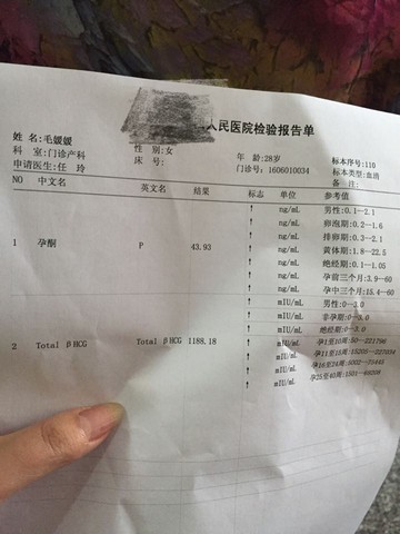 journal_insert_pic_496135963