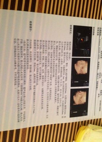 journal_insert_pic_496112518