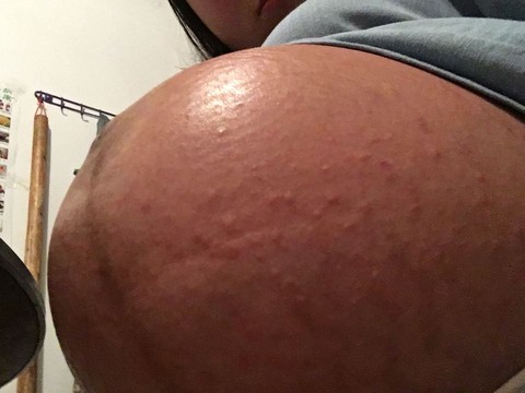 journal_insert_pic_497162602