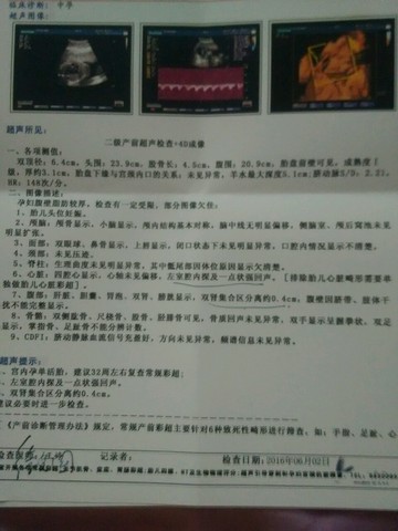 journal_insert_pic_497233820