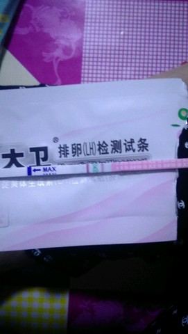 journal_insert_pic_497160611