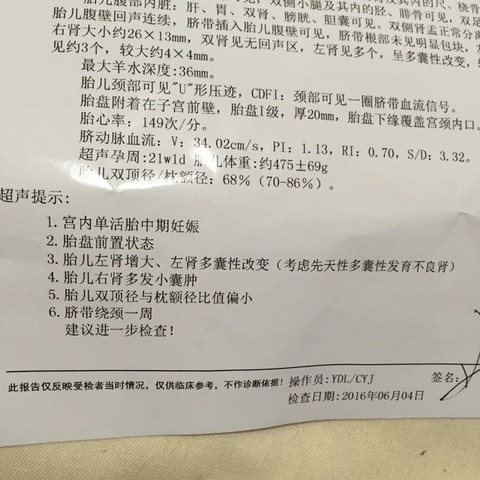 journal_insert_pic_498030682