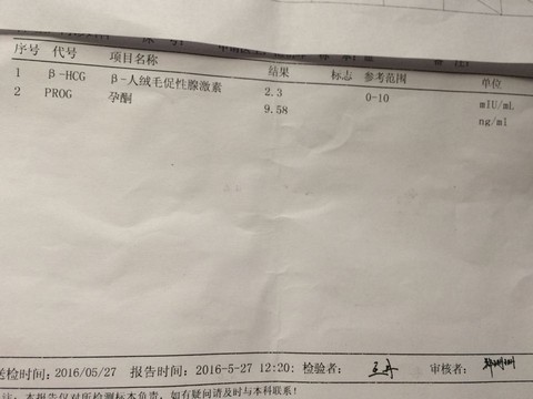 journal_insert_pic_499565130