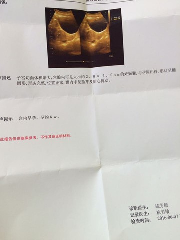 journal_insert_pic_500345040
