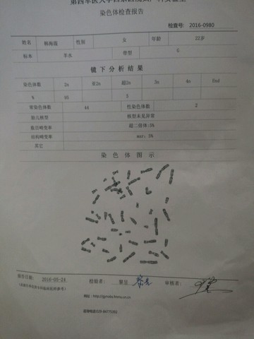 journal_insert_pic_500688853