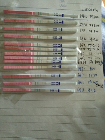 journal_insert_pic_500718659