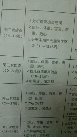 journal_insert_pic_501916145