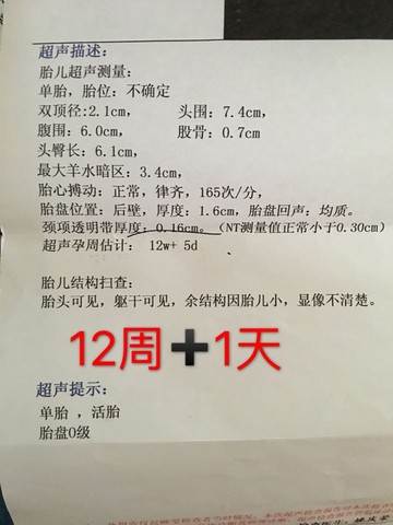 journal_insert_pic_502215699