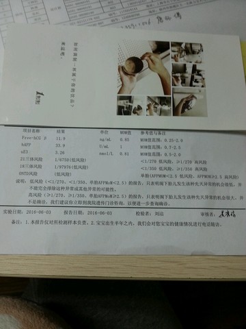 journal_insert_pic_504083511
