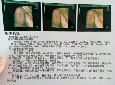 journal_insert_pic_504032430