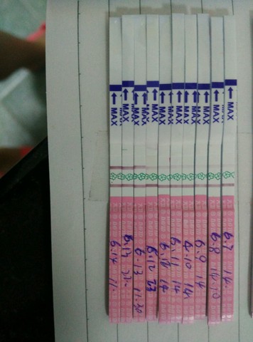 journal_insert_pic_505674988