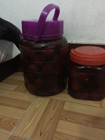 journal_insert_pic_505967109