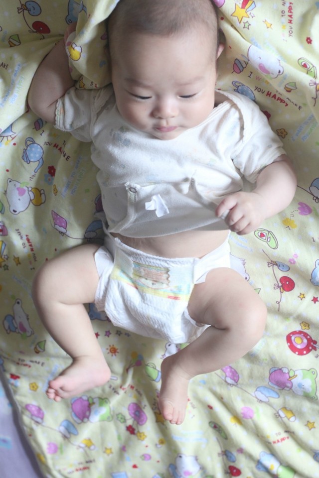 journal_insert_pic_506553080