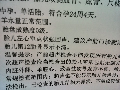 journal_insert_pic_508354184